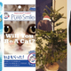 Illustration for article titled Cat-Themed Treats From Tokyo and Shanghai, Plus a Mélange of Wintry Accessories